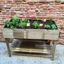 potager partagé
